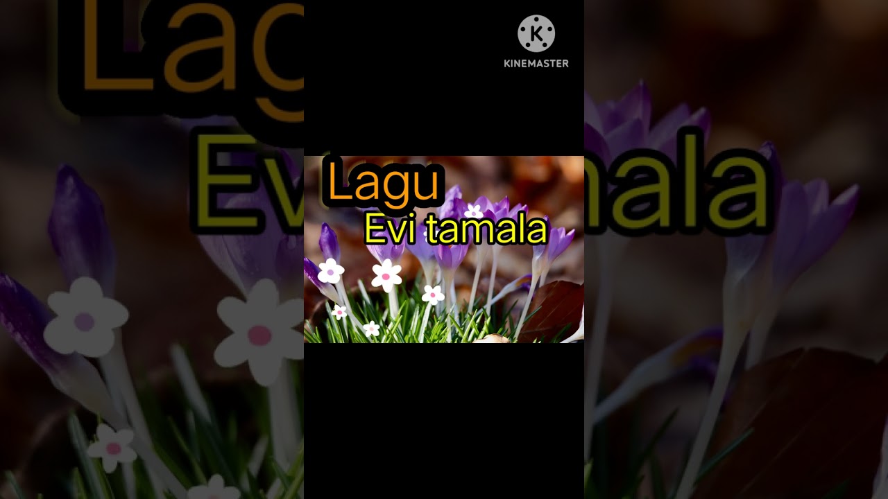 Lagu evi tamala selamat malam