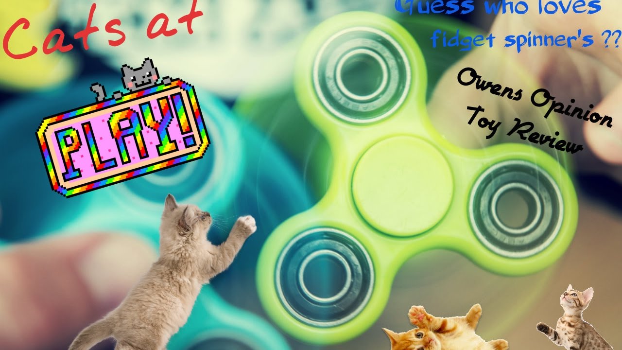Fidget spinners the new cat toy lol cool tricks YouTube