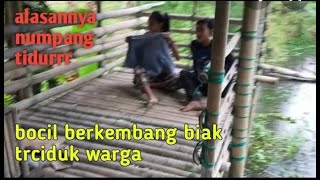 Penampakan bocil berkembang biak di hutan..!!