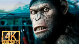 صعود كوكب القرده- سان فرانسيسكو- القرد سيزر اندي سركيس-  فيلم 📽The rise of Planet of the Apes