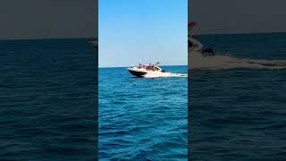 Albatros 606 WA Summer 2025