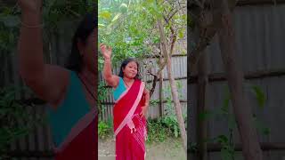shakal subah #morningmusic #lifeisbutadream #ihavethisthingwithplants