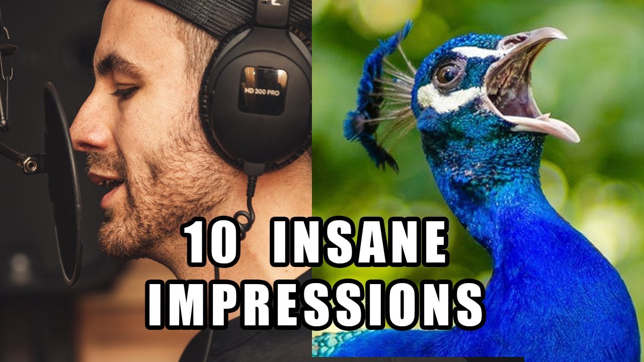 My TOP 10 best FARM ANIMAL sounds (impressions)