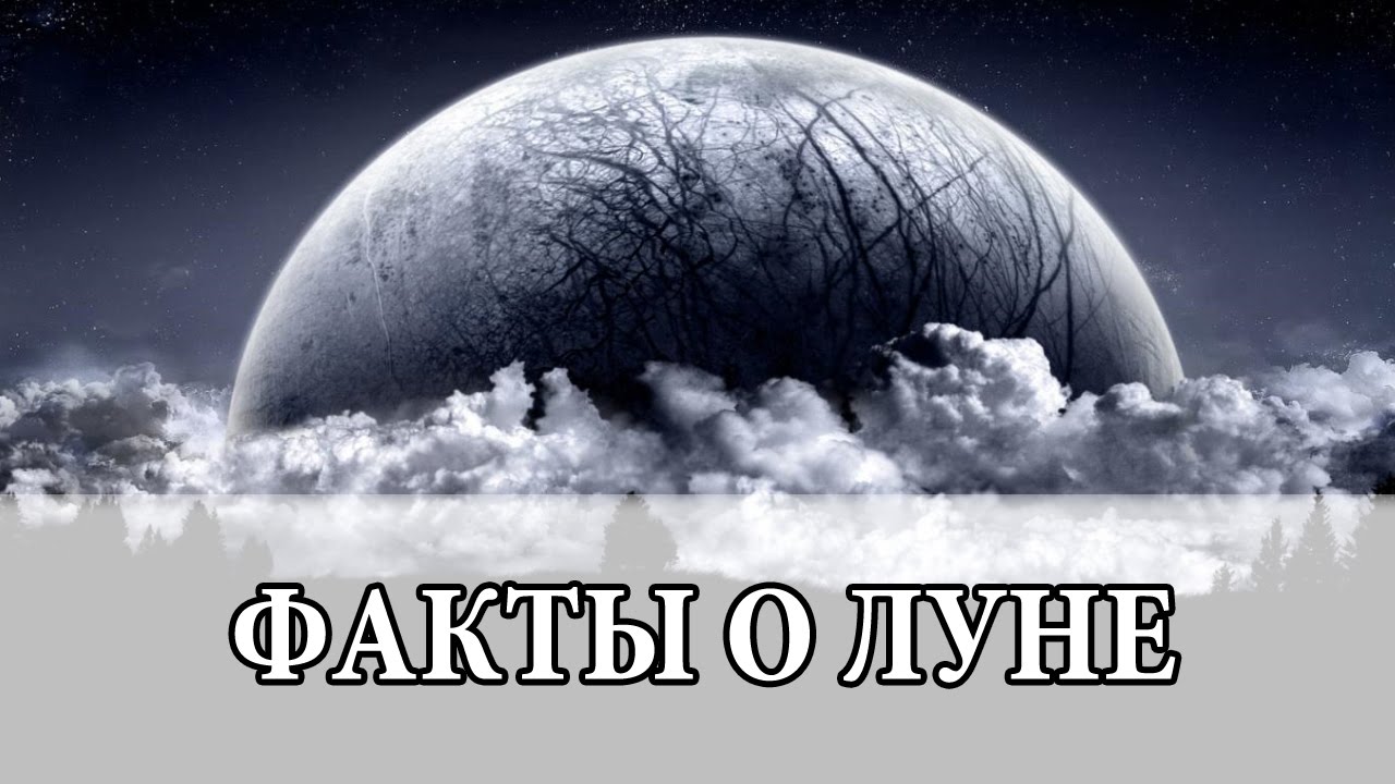 Как выглядят холостяцкие квартиры в разных странах мира рекомендации Как выглядят холостяцкие квартиры в разных странах мира рекомендации