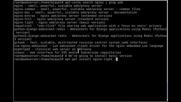 How to install Nginx on a Debian system