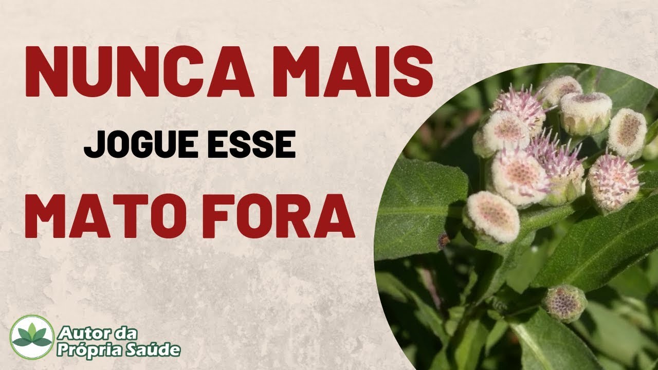 NUNCA MAIS jogue esse "mato" fora!