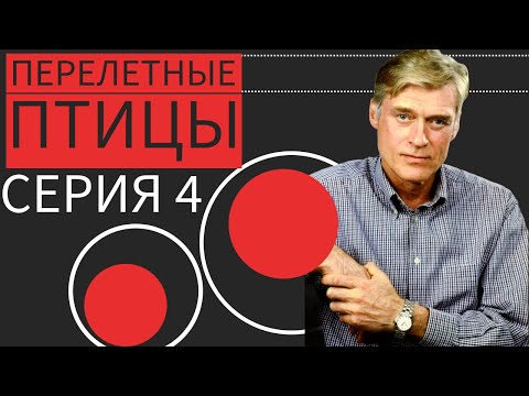 В НАПРЯЖЕНИИ ВЕСЬ ФИЛЬМ! СПАСАЕТ СЫНА ЛЮБОЙ ЦЕНОЙ! 𒆜Перелётные птицы 4 𒆜 RUSSIAN DRAMA
