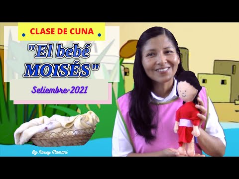 Video: ¿Necesitas un moisés que sea genial?