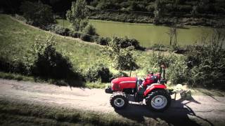McCormick D-MAX