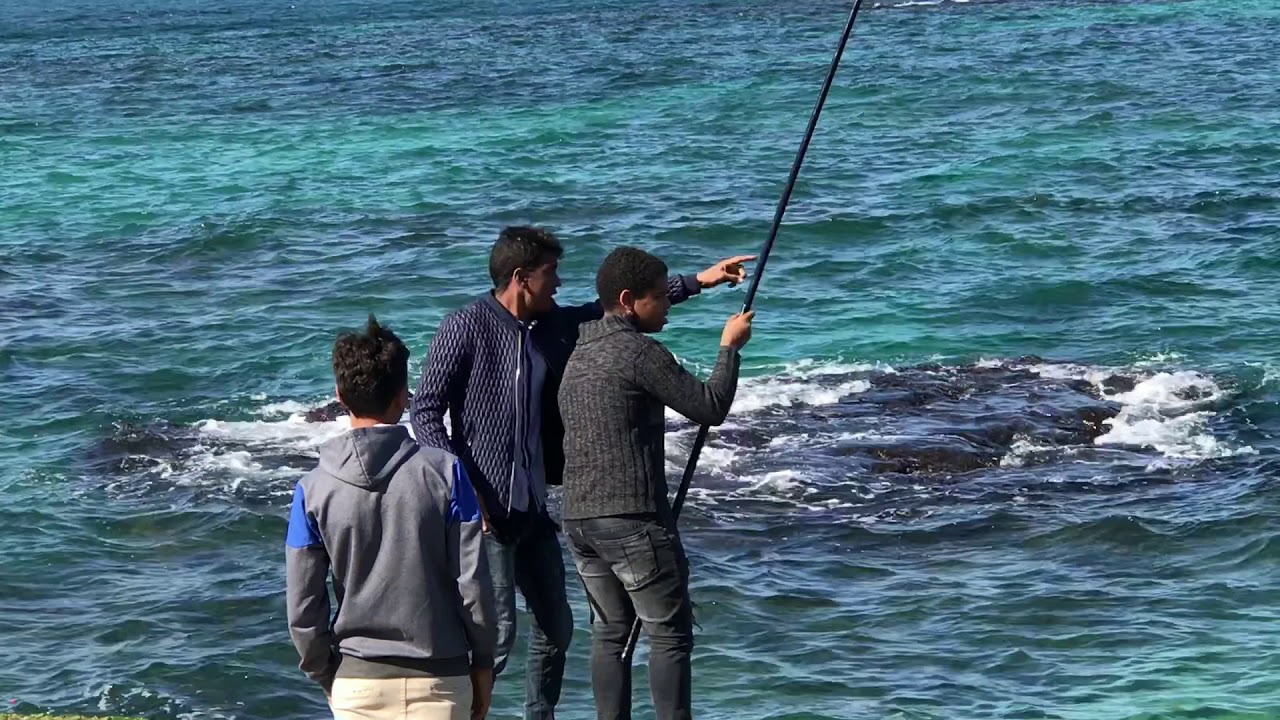 Fishing in Alexandria Bay Egypt YouTube