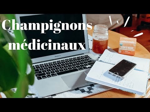 Vidéo: Champignons médicinaux magiques