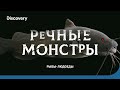 Рыбы-людоеды - Речные монстры