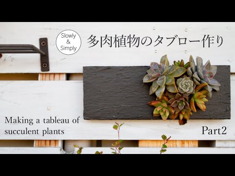 [ Part 2 ]多肉植物のタブロー作り/Making a tableau of succulent plants