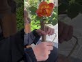 Ever Hear Cans Cling? They're Bound to Be Used! ClassicTunes ErhuVirtuoso