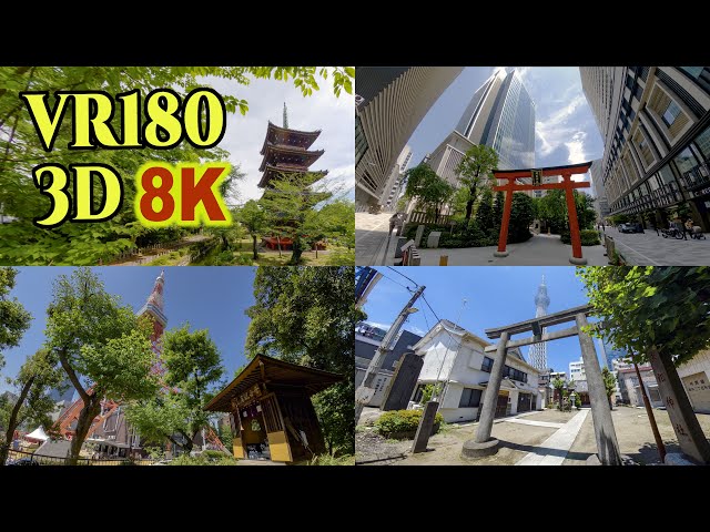 8K 3D VR180 ] 初夏の東京風景 Tokyo scenery in early summer - YouTube