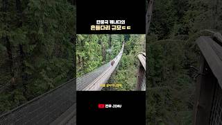 🇨🇦단풍국 캐나다의 흔들다리 규모 #밴쿠버 #밴쿠버브이로그