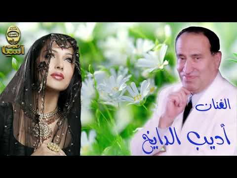 أديب الدايخ بدر على عرش الجمال
