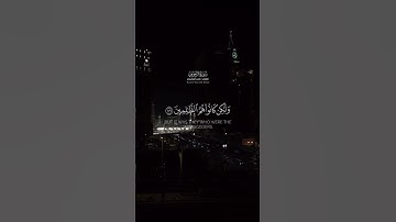 لقد جئناكم بالحق ولكن أكثركم للحق كارهون | سورة الزخرف الآية (74) : (78) | ياسر الدوسري