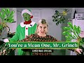 You're a Mean One, Mr Grinch (CHRISTMAS SPECIAL COVER)