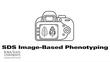 Soynomics: SDS Image-based Phenotyping | (When Scientists Team with Engineers)