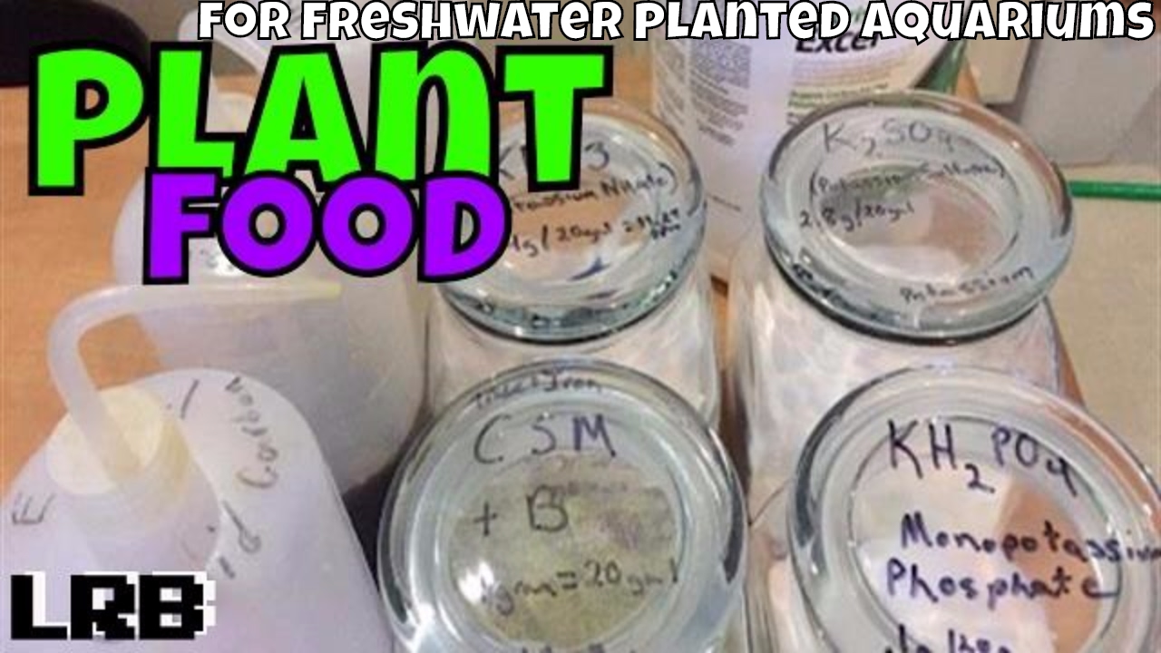 🔴 Fertilizers for Planted Aquariums What I use YouTube