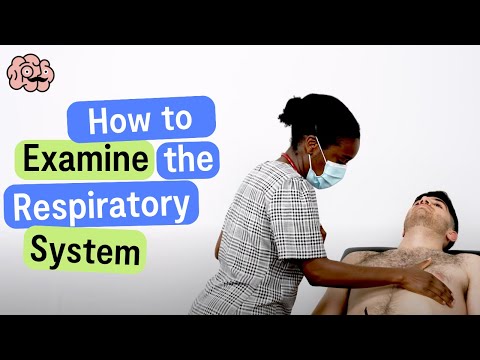 Respiratory Examination -