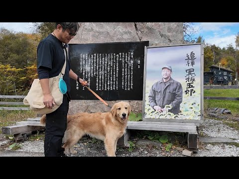 初めての家族旅行!北海道のヘソの富良野で大自然を感じ味わう。【Golden Retriever japan】