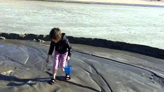 Puerto Penasco, Christmas 2011