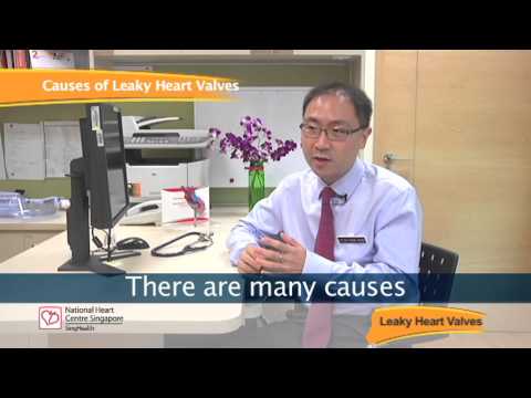 Video: Hvordan gjenkjenne en lekkende hjerteventil: 11 trinn (med bilder)