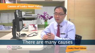 Leaky Heart Valves - Causes, Symptoms & Treatments screenshot 1