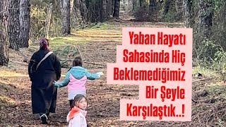Amazonların Başkenti Yaban Hayatı Geliştirme Alanında Hiç Beklemediğimiz Bir Şeyle Karşılaştık