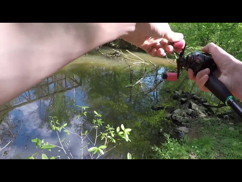 Spinnerbait CRUSHING Snakehead: VKAE Snakehead Trail Stop #2