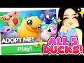 ALL 5 DUCK PETS!! (DUCK BOX) in Adopt Me! (roblox)