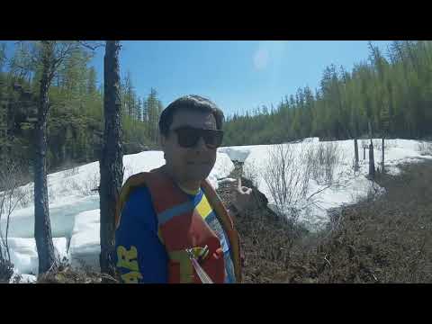 Video: Râul Chumysh: descriere și atracții