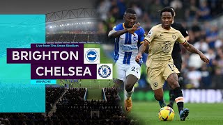 Live! Brighton vs Chelsea | English Premier League 23/24