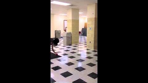 sensorimotor integration video