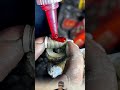 lubricant on engine bolts