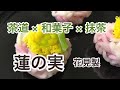 茶道 × 抹茶 × 和菓子　「蓮の実」花見製