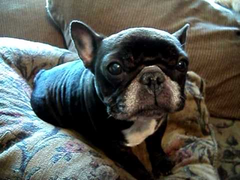 THELMA LOU CHILLIN ON THE COUCH