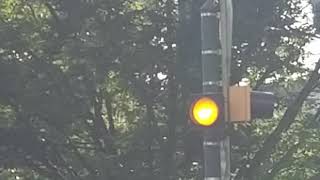 8 inch Incandescent Durasig Beacon