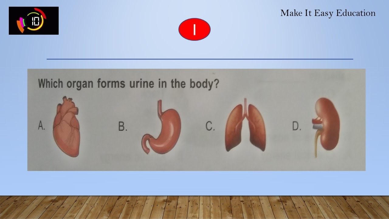 INTERNATIONAL GENERAL KNOWLEDGE OLYMPIAD || GENERAL KNOWLEDGE QUIZ ...