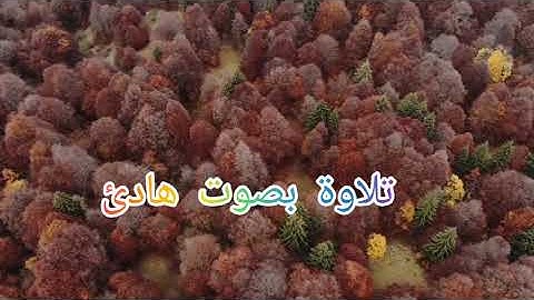 سورة آل عمران.بصوت هادئ وسكينة.. القارئ عبدالرحمن مسعد❤💯💯💯