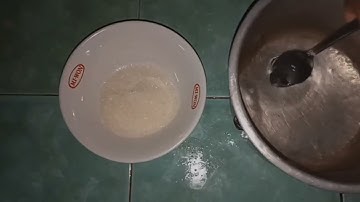 procedure text || english assignment