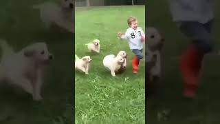 cute baby and puppies 🤩