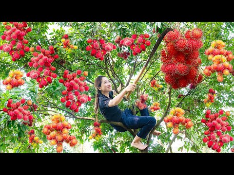 Buah Rambutan In English