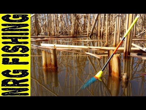 КАРАСЬ ИДЁТ!!! | ЛОВЛЯ КАРАСЯ НА ПОПЛАВОК