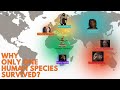 Why Only One Human Species Survived?
