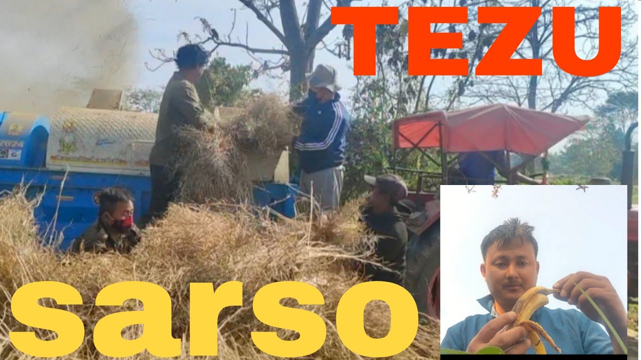 😀 my first vlog  #vlogvoral #kisang #videoviral #tezu #lamacamp