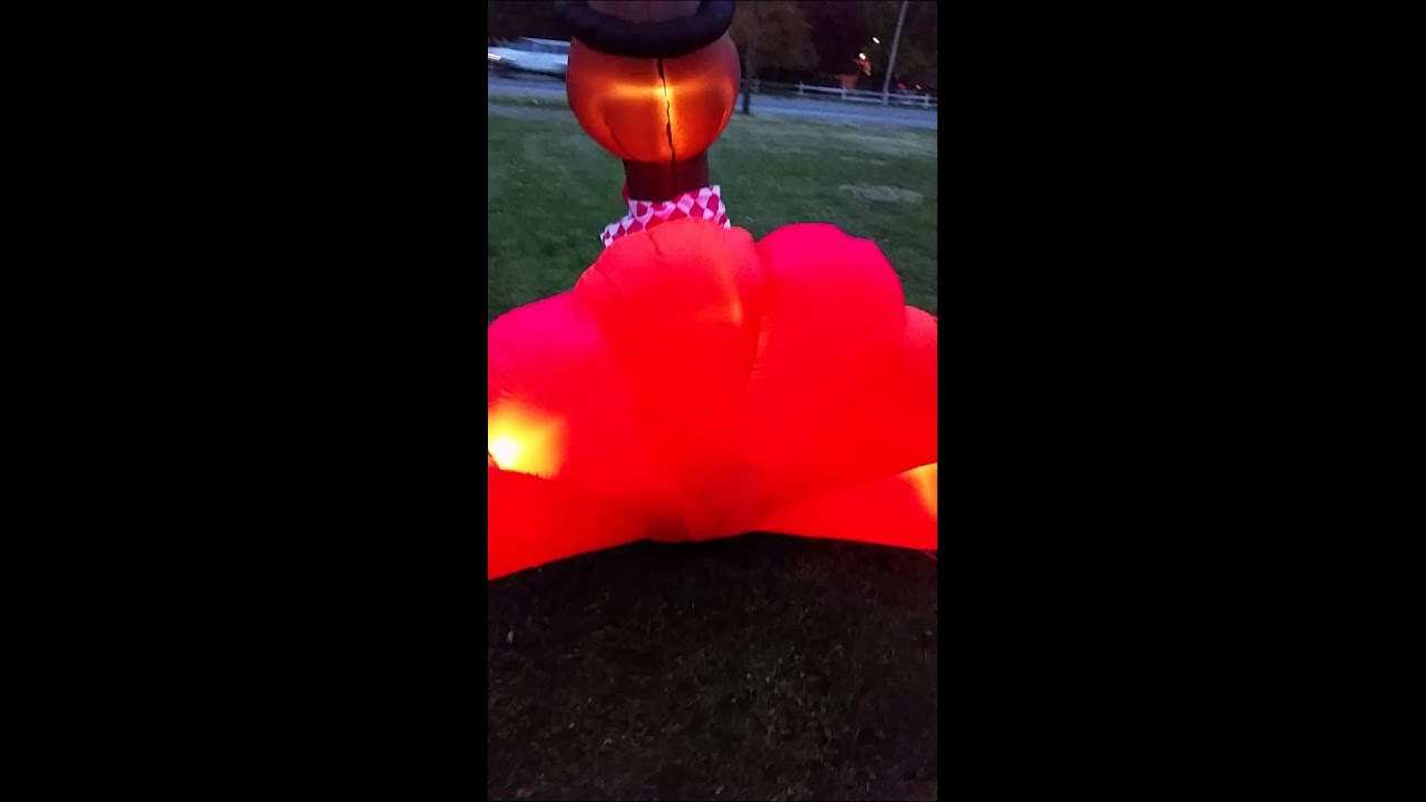 camera iphone 8 plus apk Inflatable turkey 2014