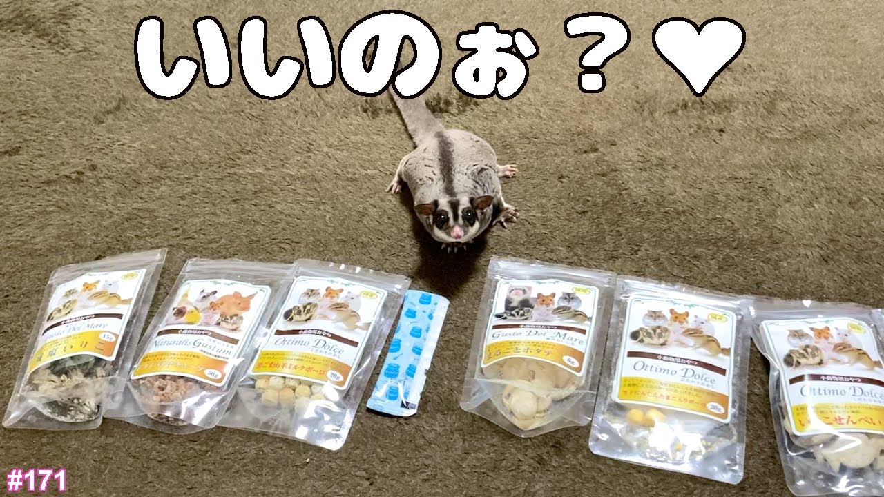 フクロモモンガフード おやつ その他いろいろ フクロモモンガに